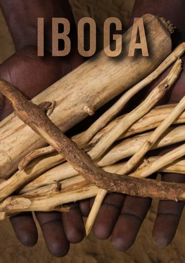 Vancouver Iboga