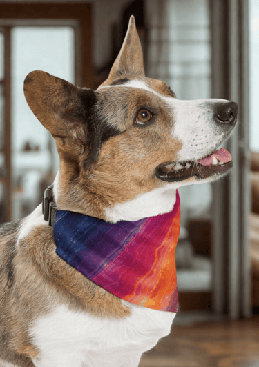 dog wearing bandana collar