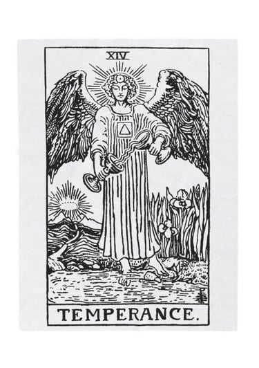 black and white temperance tarot blanket