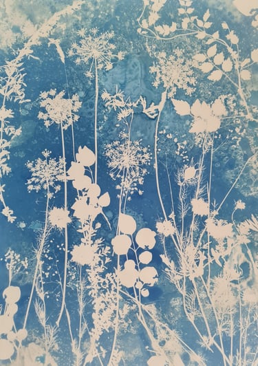 galerie des photogrammes en cyanotype