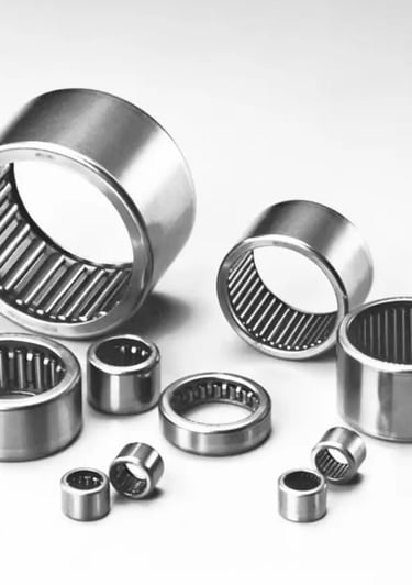 Needle Bearing near Daman, SIlvassa, Umbergoan, Pardo