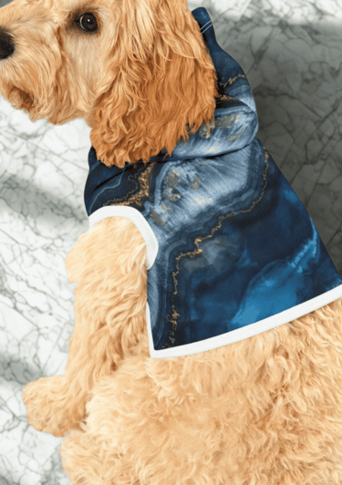 a dog wearing a blue hoodie