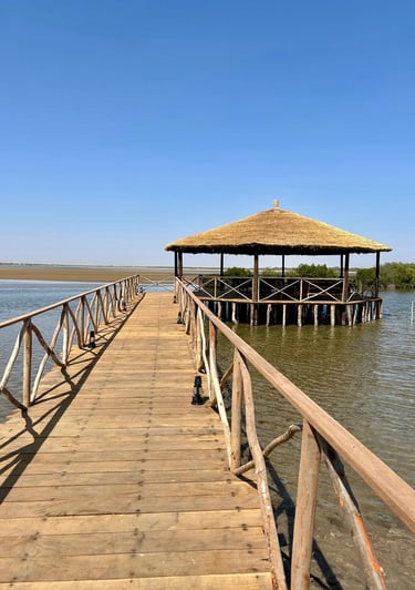 vue du ponton de l'hôtel de luxe, Maison Fimela, dans le Sine Saloum