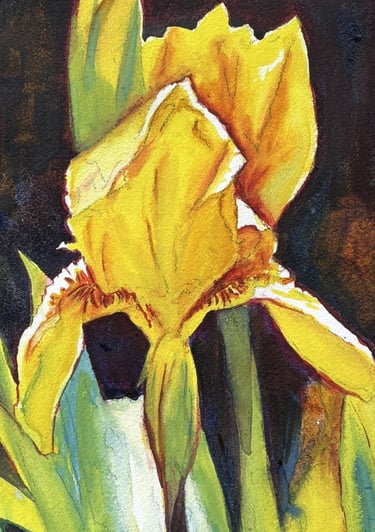 Watercolour of a yellow Iris flower