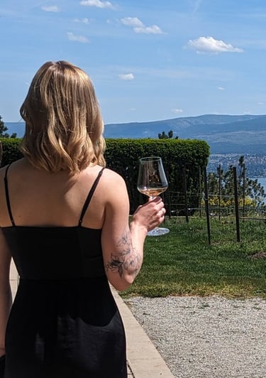 sweet fruit wine kits u-vin