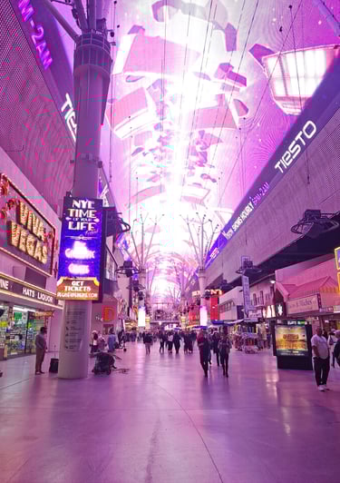 Finn's Footprints Las Vegas Nevada Budget Travel Review