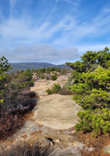 Acadia NP