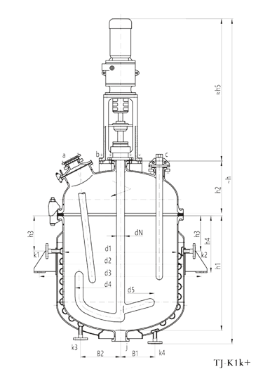 Glass lined reactors K type