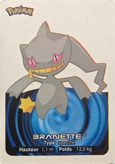 115 Branette Lamincards Pokémon série 3