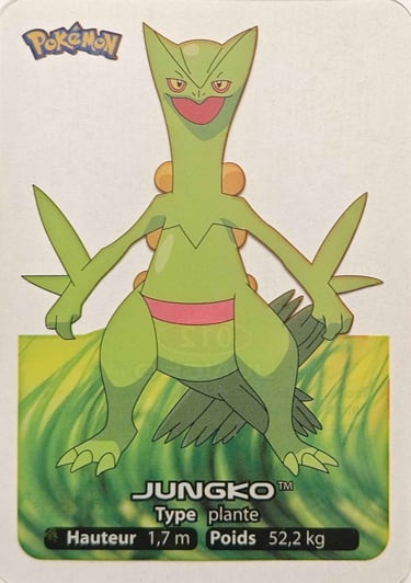 12 Jungko Lamncards Pokémon série 3