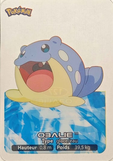 127 Obalie Lamincards Pokémon série 3