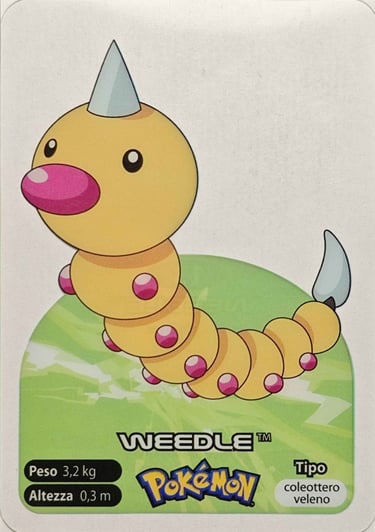 13 weedle lamincards spécial édition