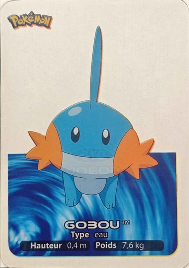 16 Gobou Lamncards Pokémon série 3