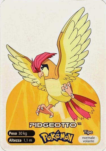 17 Pidgeotto lamincards spécial édition