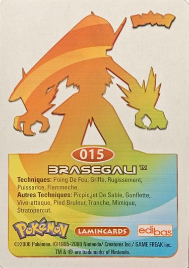 15 Brasegali Lamincards Pokémon série 3 back