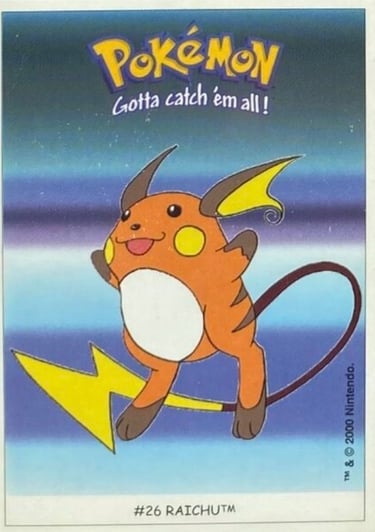Raichu Dunkin Boomer 2000