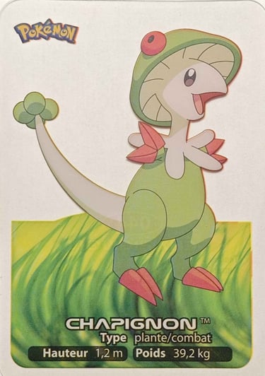 44 Chapignon Lamicards Pokémon série 3