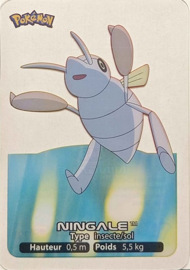 48 Ningale Lamicards Pokémon série 3