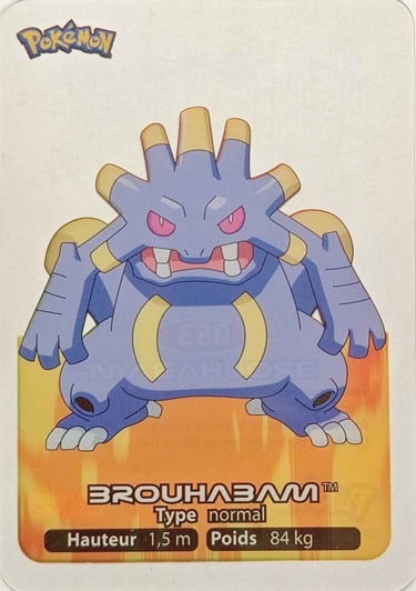 53 Brouhabam Lamicards Pokémon série 3