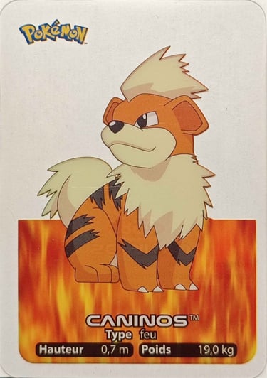 58 Caninos Lamincards Pokémon série 1