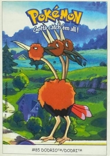 Dodrio Dunkin Boomer 2000