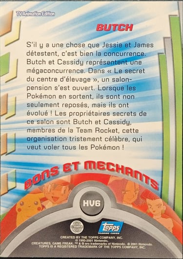 HV6 Butch topps série 3 Johto