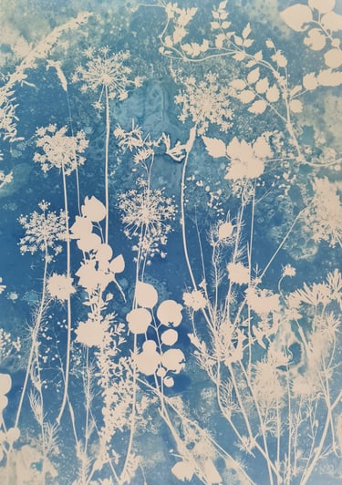 galerie des photogrammes en cyanotype