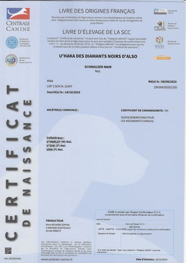 Certificat naissance LOF U'Haka