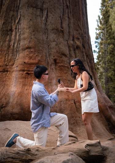 Engagement photographer in Sequoia National Park capturing a surprise proposal by a giant tree