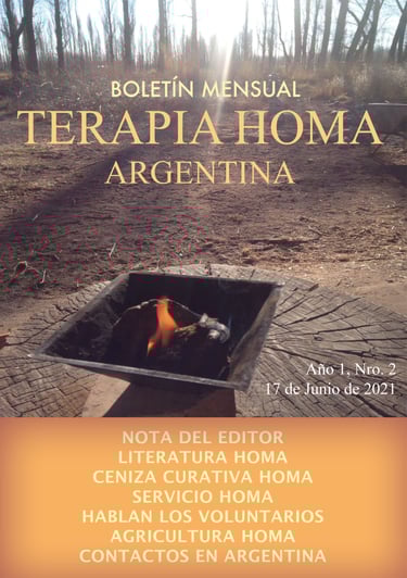 newsletter terapia homa argentina