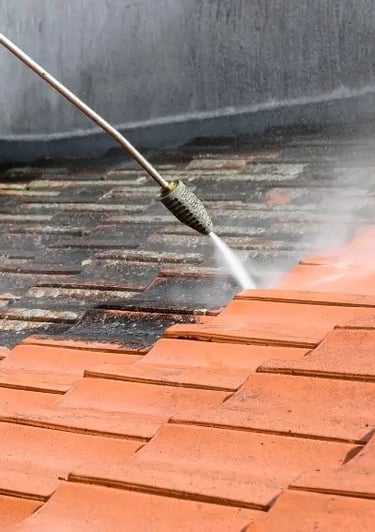 entretien tuile toiture a Guilherand Granges