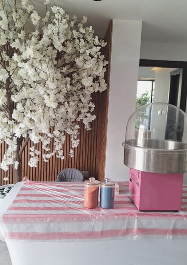 Cotton candy machine, candy floss, cotton candy floss