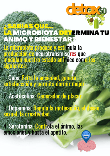 La microbiota determina tu ánimo y tu bienestar