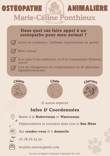 affiche ostéopathe