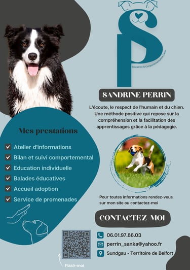 affiche éducatrice canin