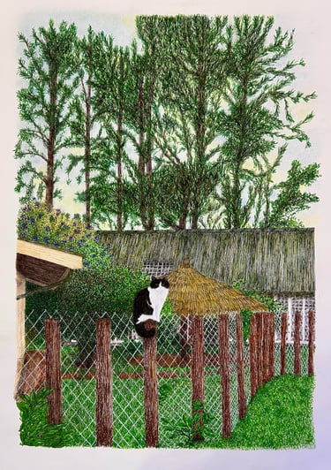 Gata preta e branca em jardim com cerca, feita com bico de pena colorido.