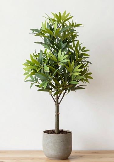 white concrete building during daytime