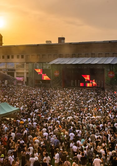 artistas en festivales y eventos