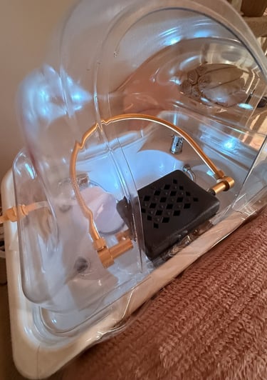 Mallemort-Salon-de-Provence matériel pour soin Head Spa