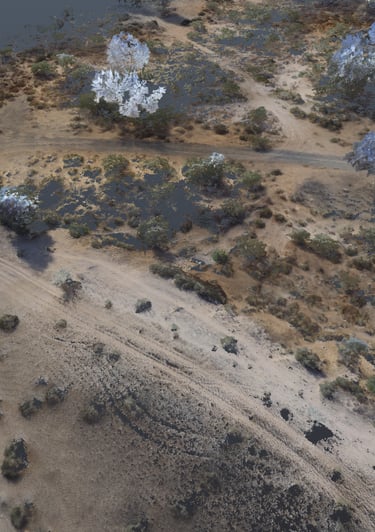 3D LiDAR point cloud scan showing an aerial view of a desert landscape with dirt roads and vegetation.