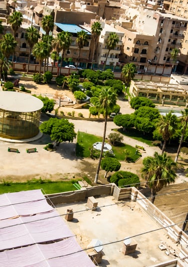High angle view of a lush city park with palm trees and a circular pavilion surrounded by urban buildings.