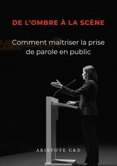 Comment maitriser la prise de parole en public