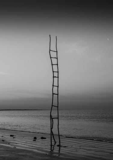 Photo échelle sur un rivage