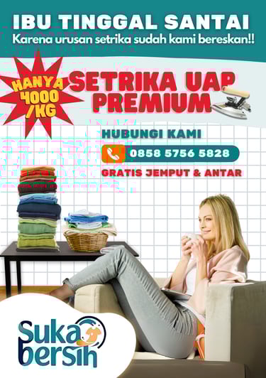 setrika uap premium
