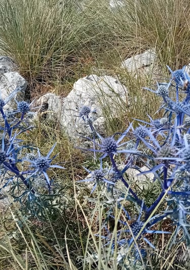 a blue flower with a bird on it