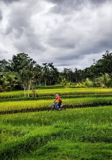 Bali 3 Day Ride