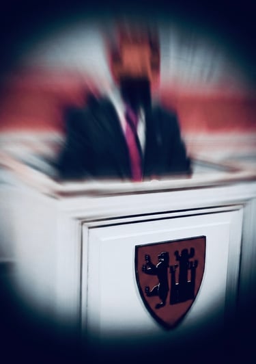 Salah Hassan Al Saad, Qatranada Adnan Abdulhussein, Fredrikstad Kommune bystyret, Styrer, råd og utvalg,