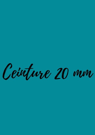 image de la catégorie ceinture 20 mm en cuir revalorisé