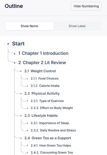 A structured academic outline of a literature review featuring chapters on weight control and physical activity.