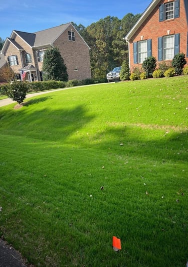 Professional lawn care service improving grass health and overall lawn appearance.